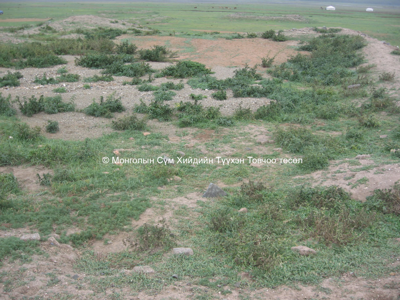 Үлдэгдэл туурь